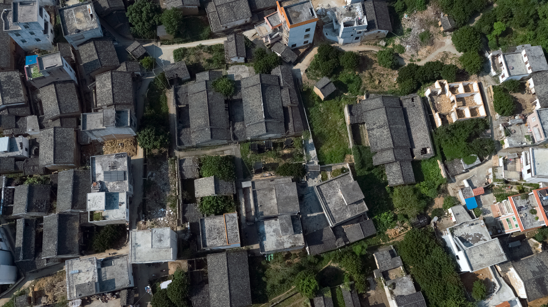 飛閱新農村：龍崗村一景--黎鎮(zhèn)芳.png